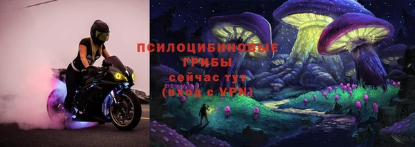 спиды Ельня