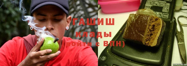 спиды Ельня
