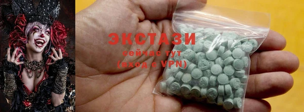 спиды Ельня