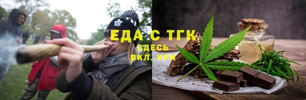 спиды Ельня