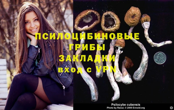 MESCALINE Елабуга