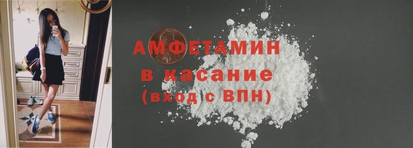 спиды Ельня