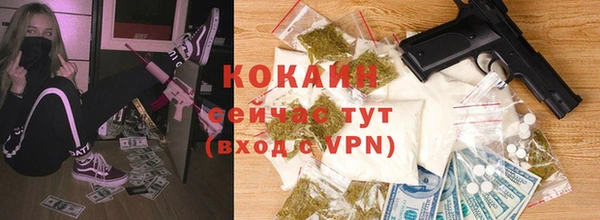 ALPHA PVP Елизово
