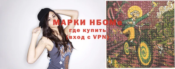 спиды Ельня