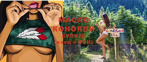 спиды Ельня