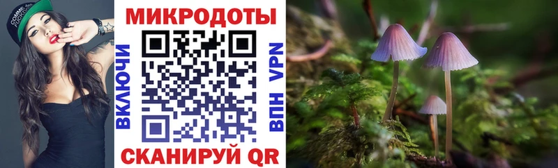 МЕГА ССЫЛКА  Бологое  Галлюциногенные грибы Cubensis 