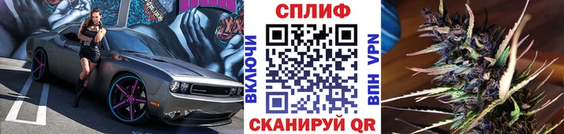 Бошки марихуана Bruce Banner  наркотики  Бологое 